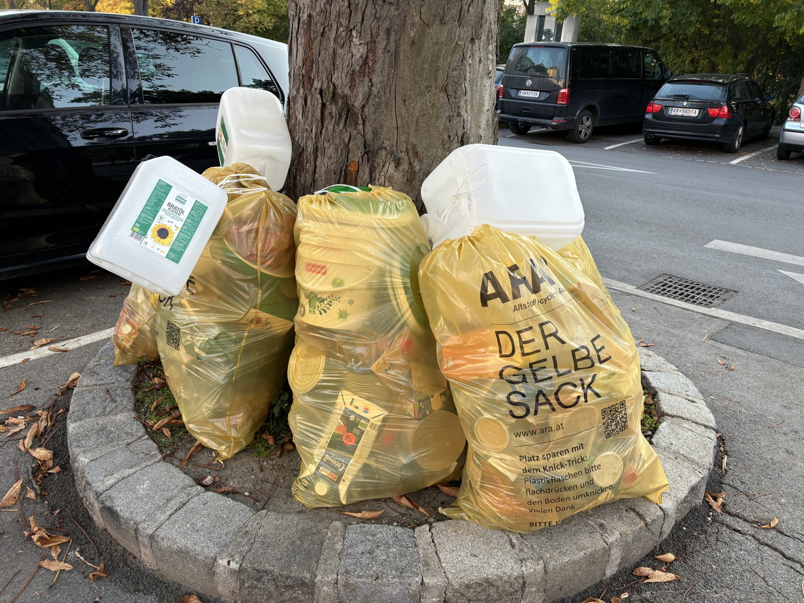 Die Philosophie des Gelben Sacks