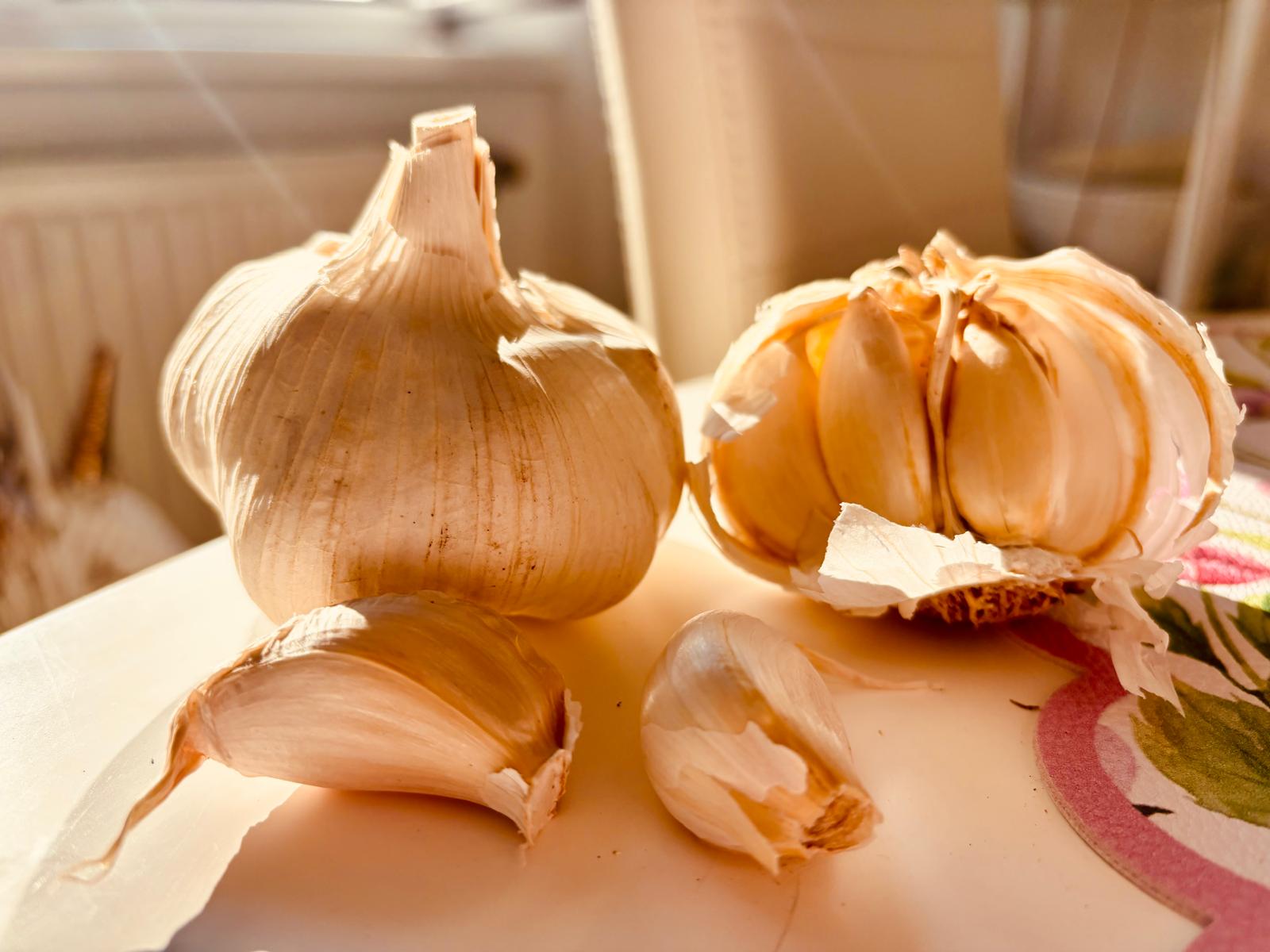 Knoblauch spricht, bevor du ein Wort sagen kannst